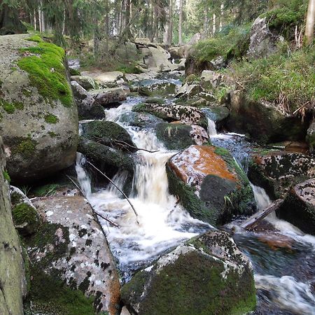 Blockhaus Bodefall Braunlage Esterno foto