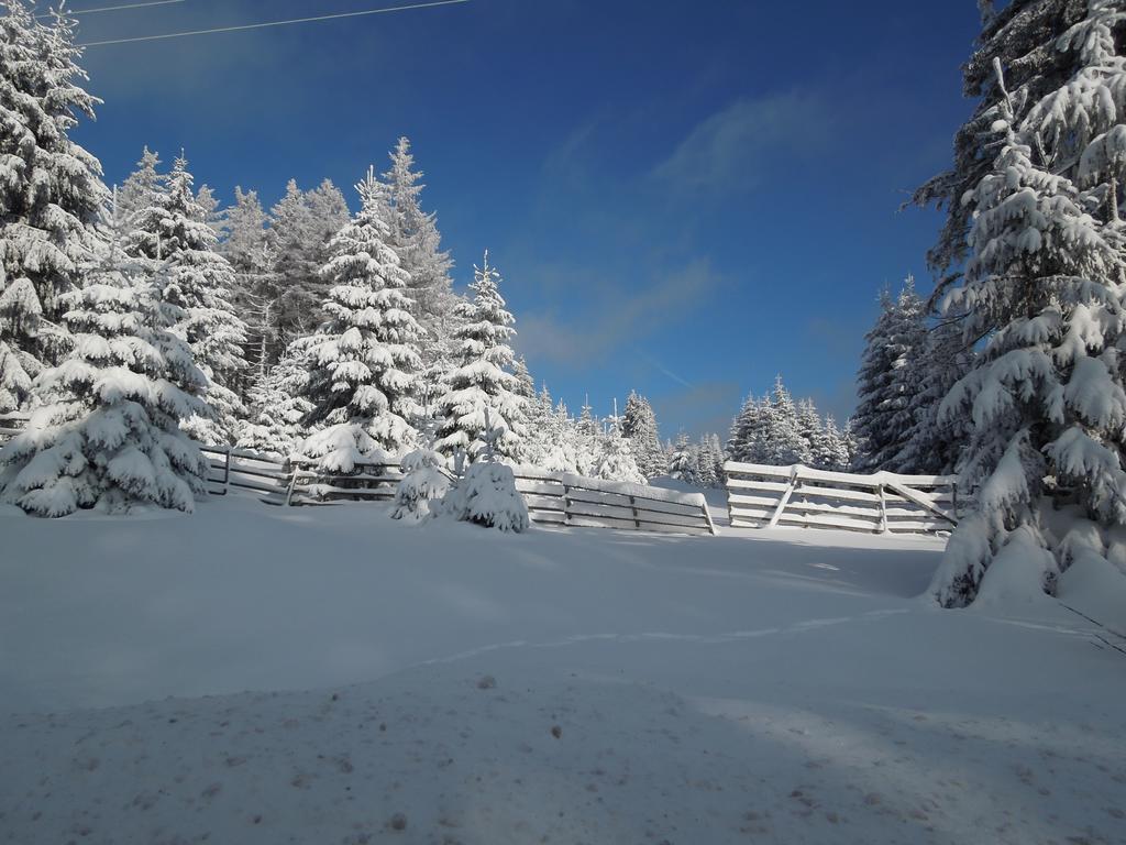Blockhaus Bodefall Braunlage Camera foto