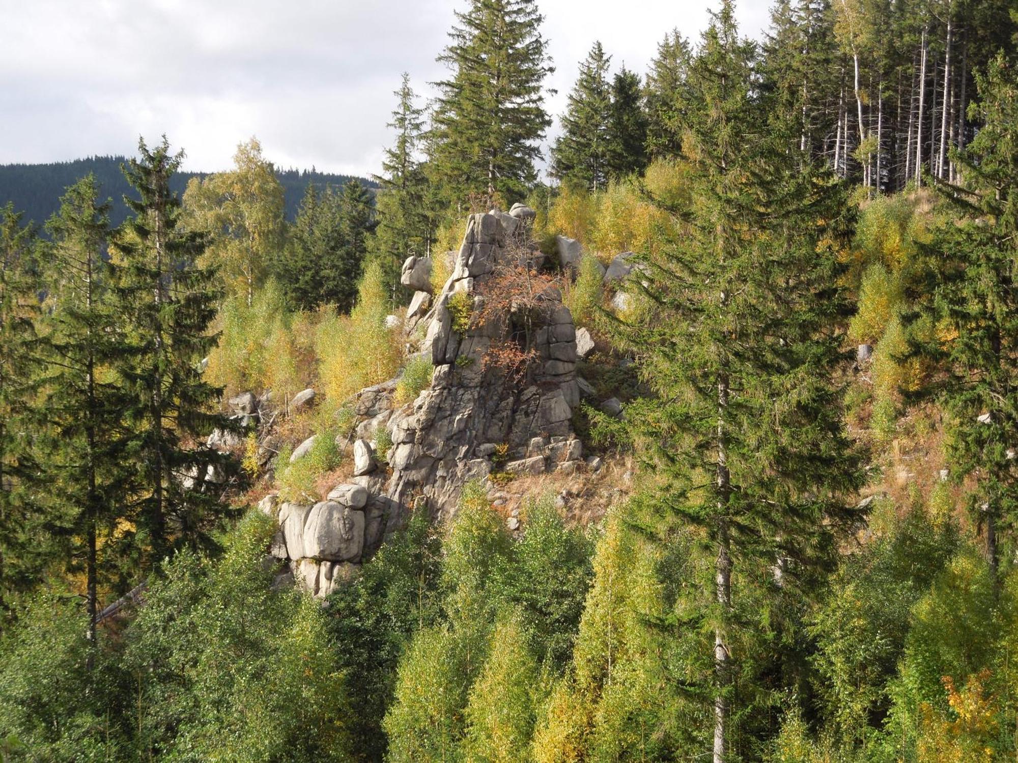Blockhaus Bodefall Braunlage Esterno foto