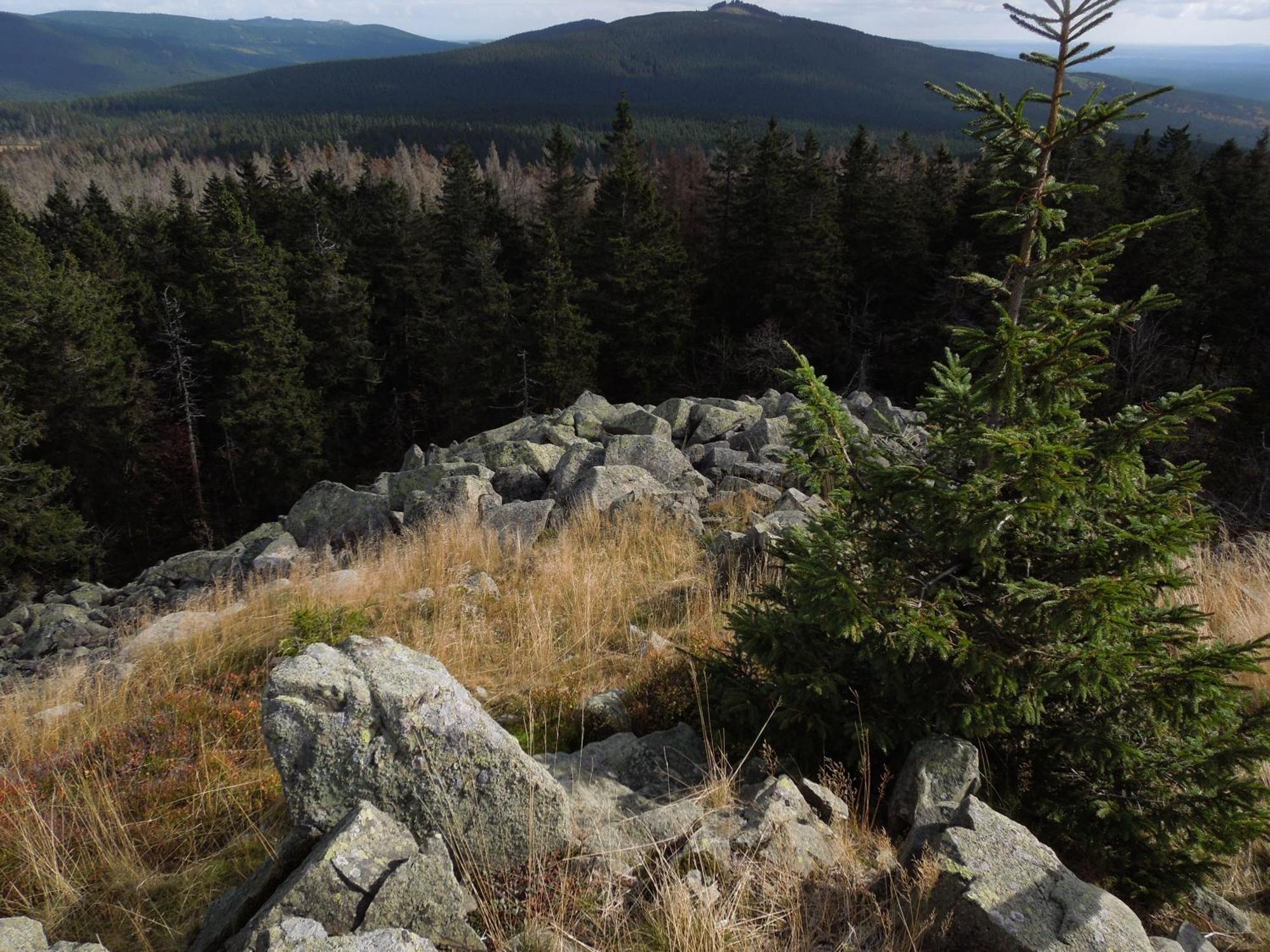 Blockhaus Bodefall Braunlage Esterno foto