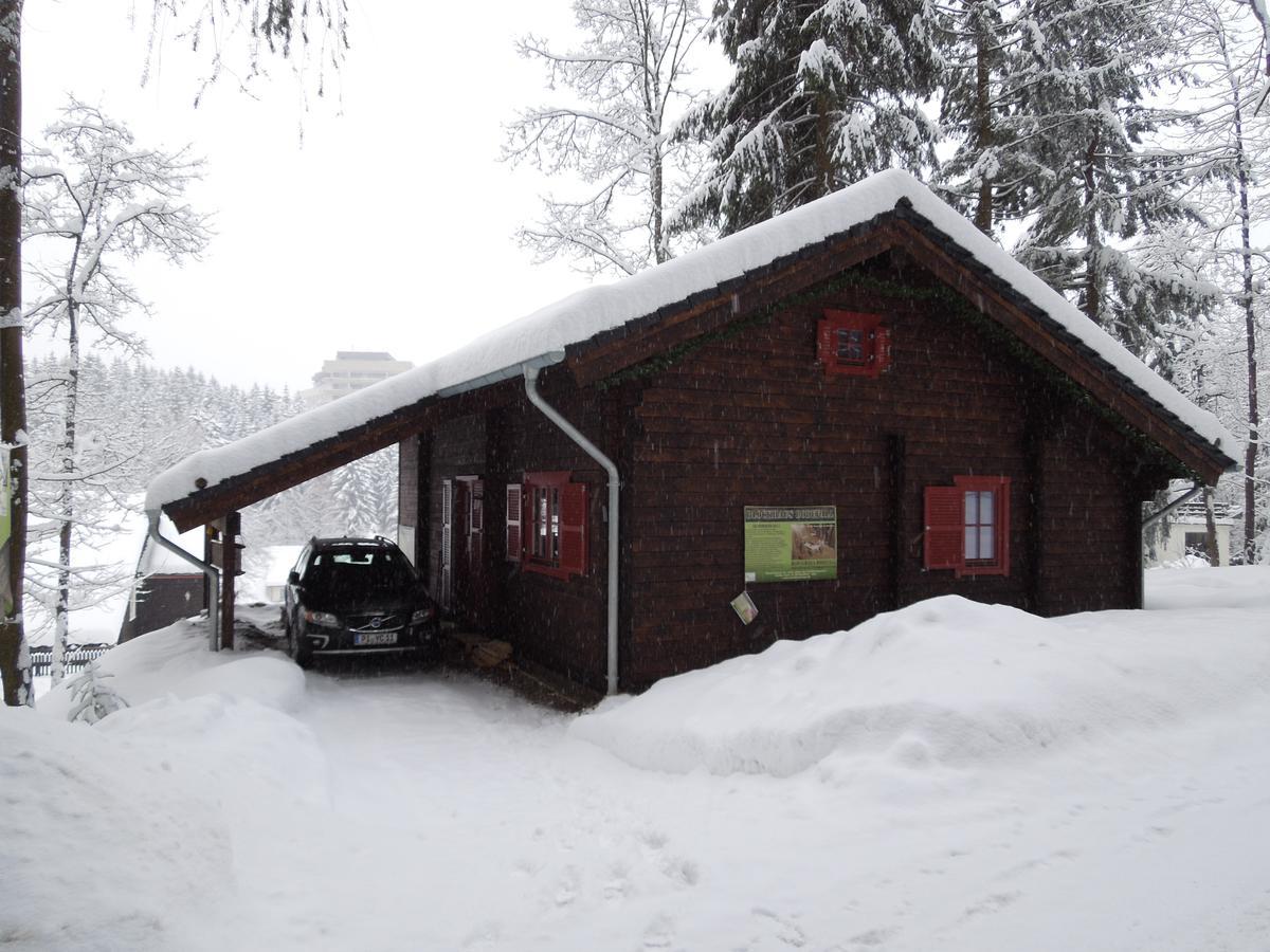 Blockhaus Bodefall Braunlage Esterno foto
