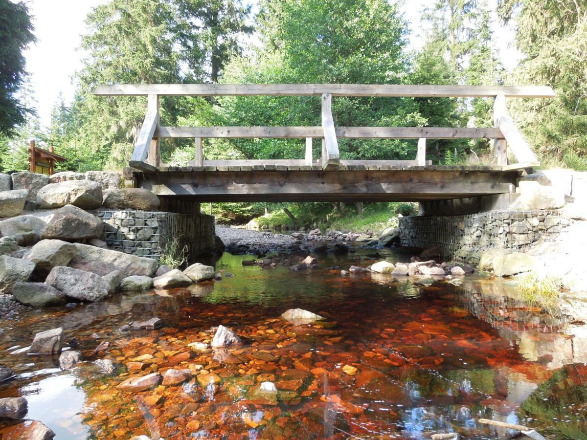 Blockhaus Bodefall Braunlage Esterno foto